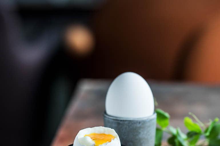 Egg