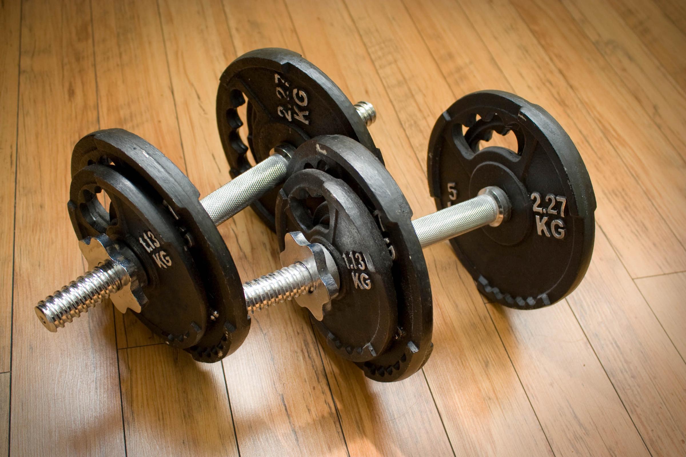 Hantlar gym Scandic