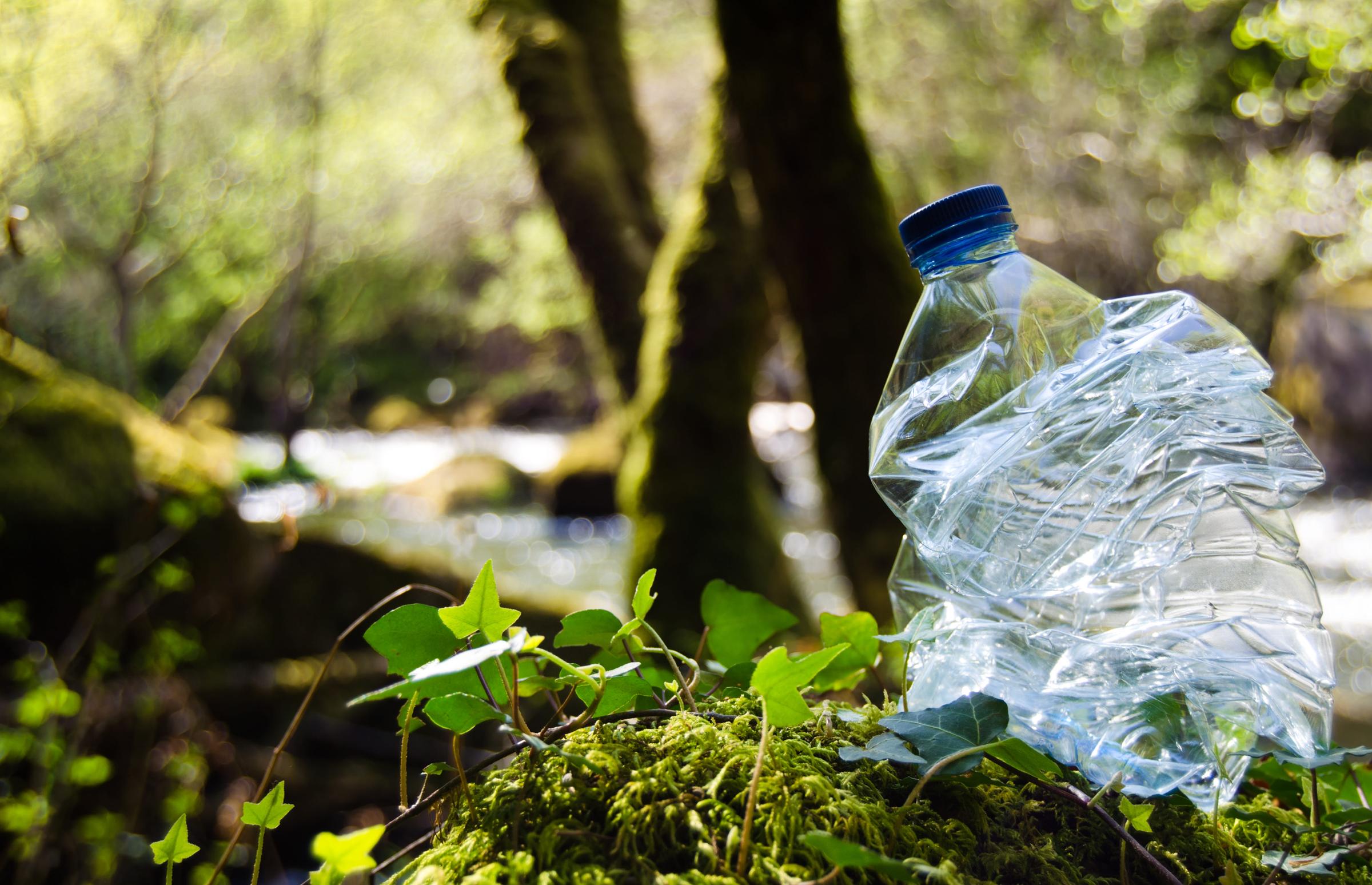 A bottle of water in a forest