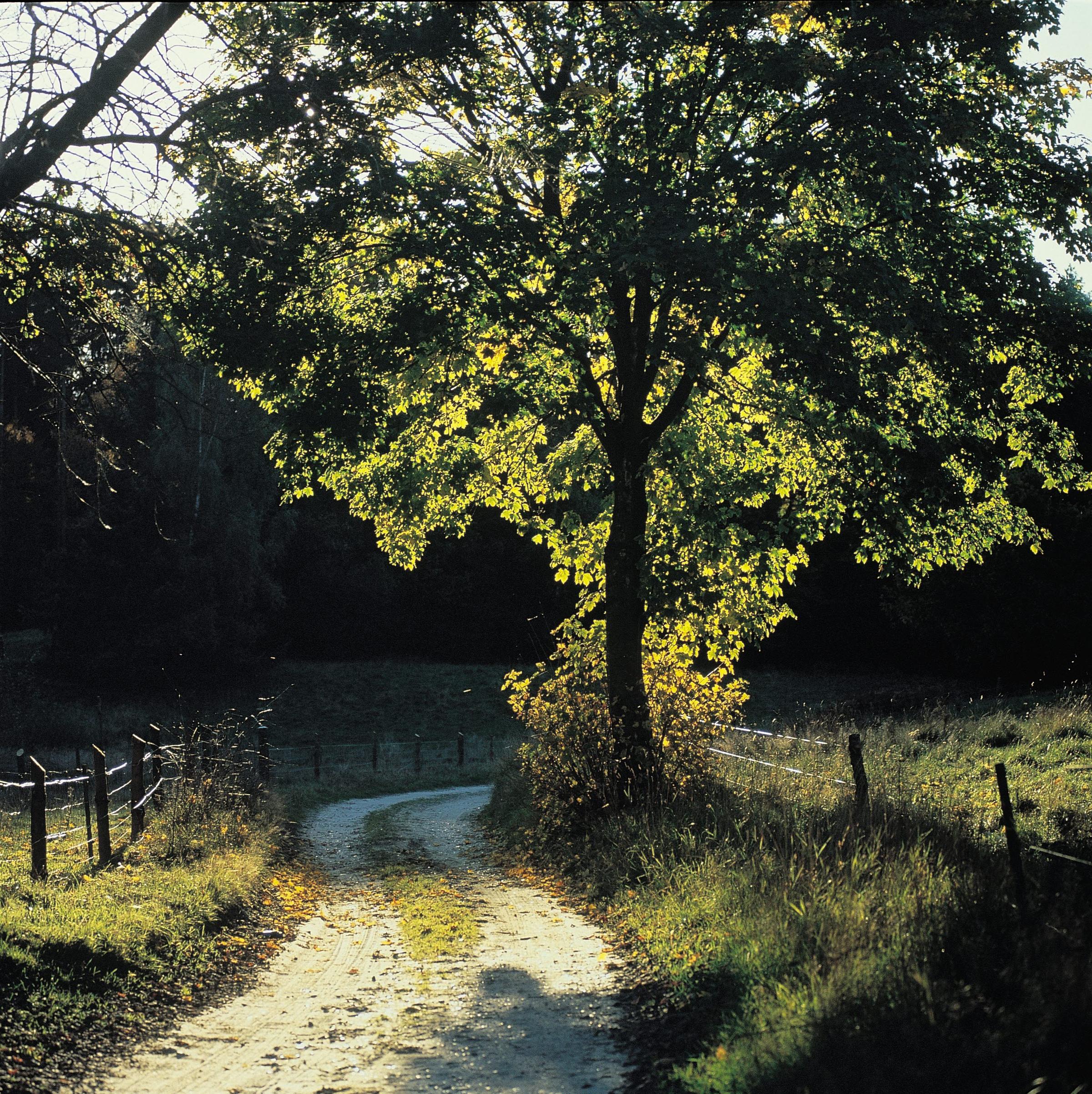 Himmelbjerget