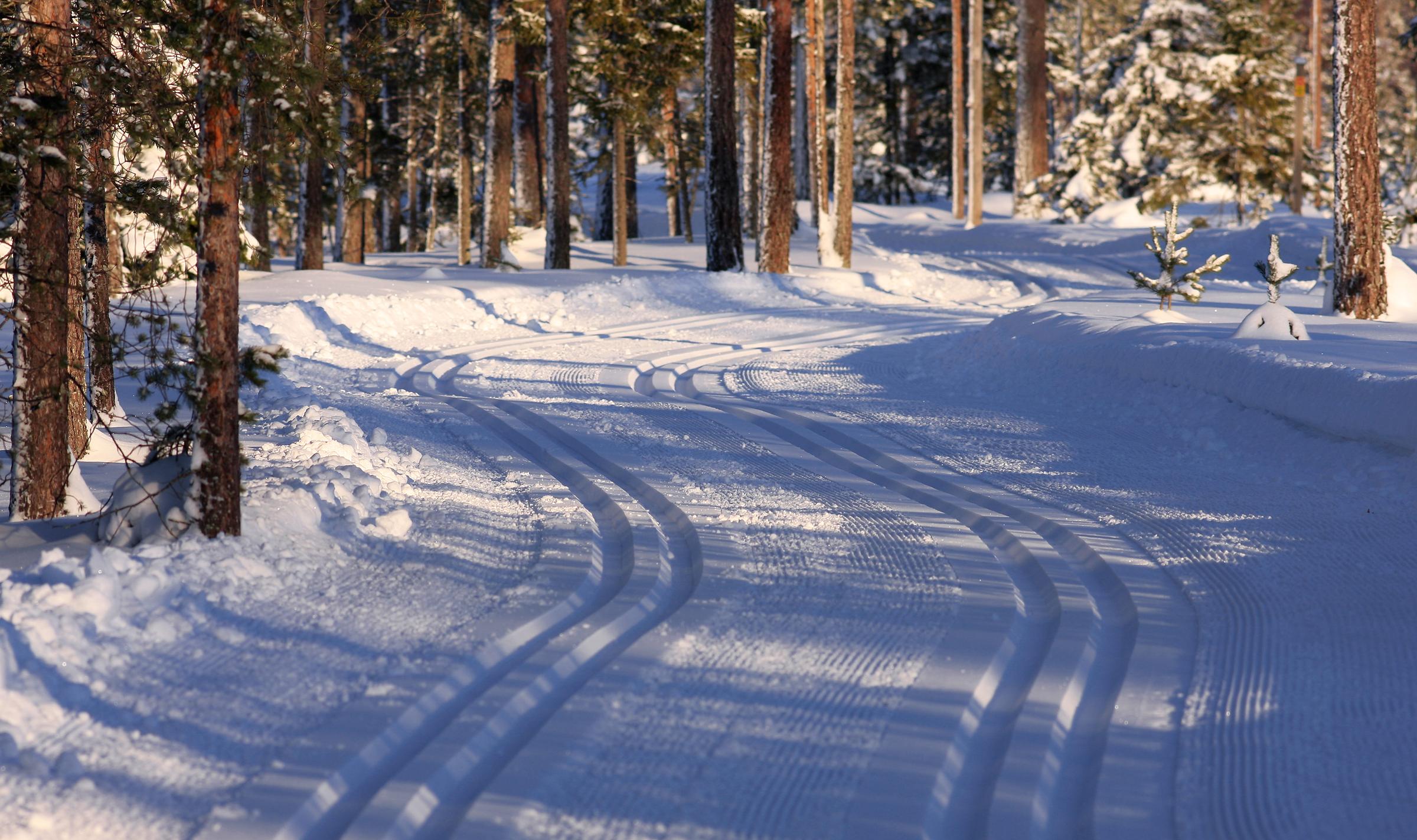 Skiing