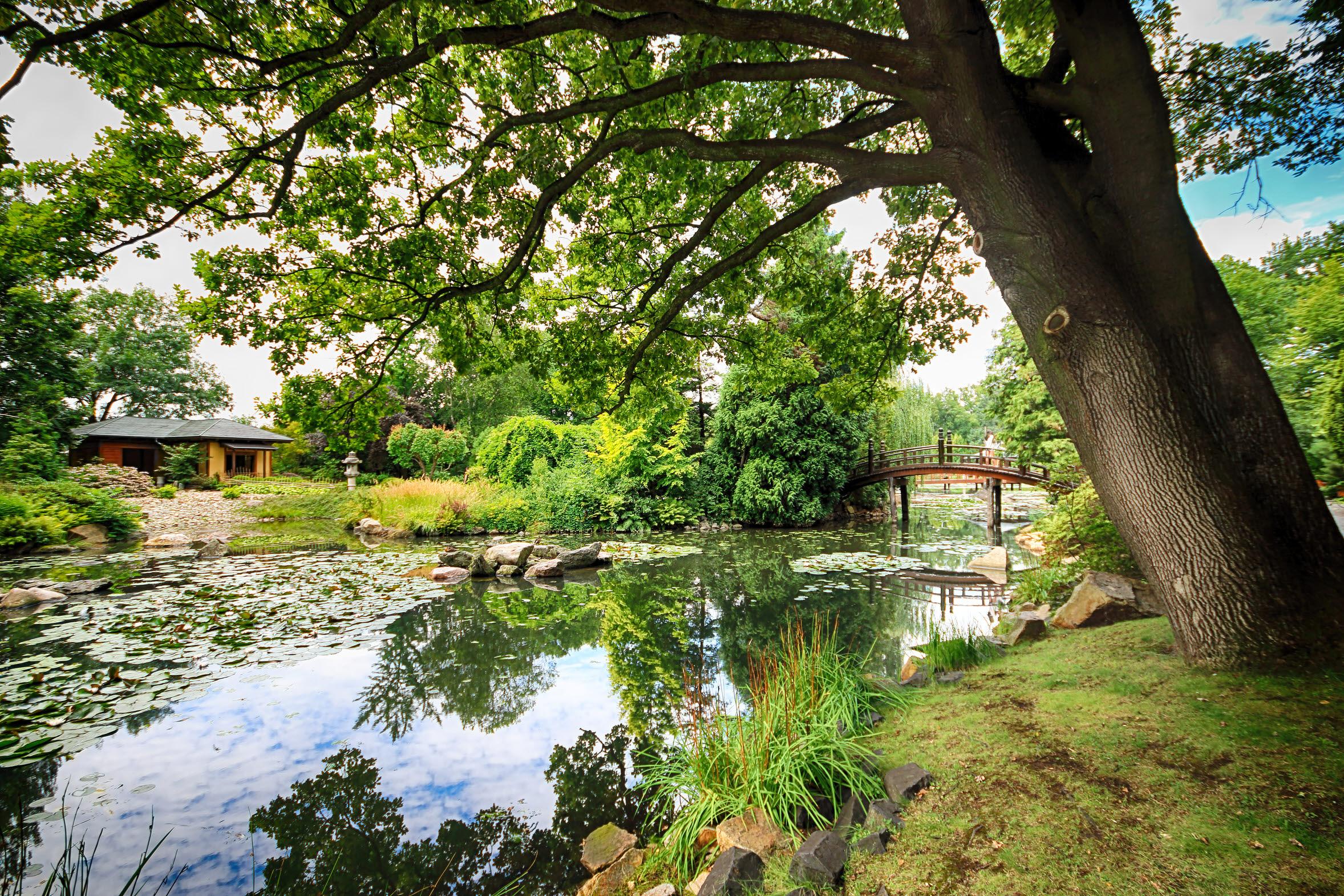 WROCLAW, POLAND - AUGUST 04, 2017: Japanese Garden is situated in the vicinity of the historical Pergola and Centennial Hall. It represents one of few traces after the World Expo in 1913.