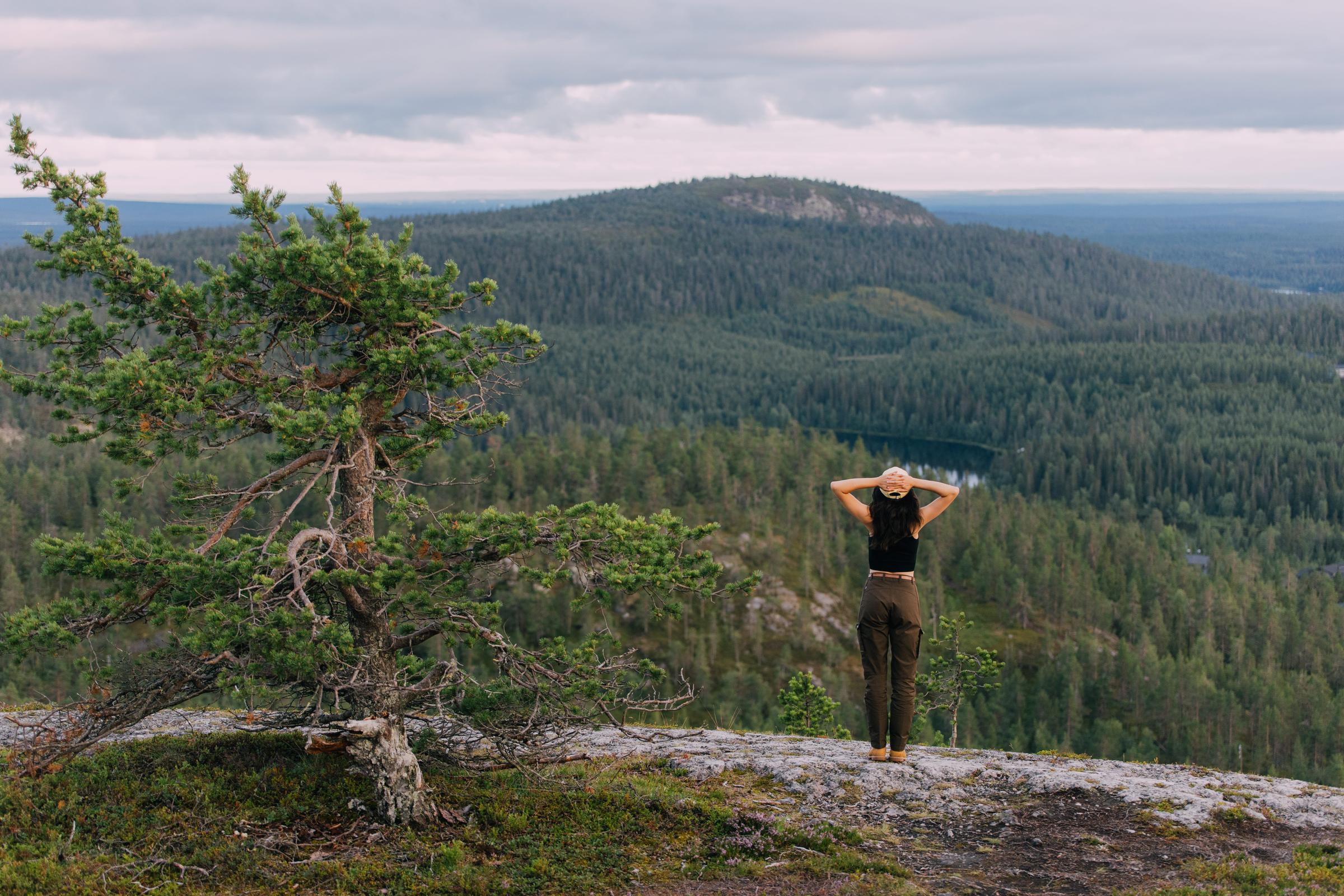View from mountain in Finland