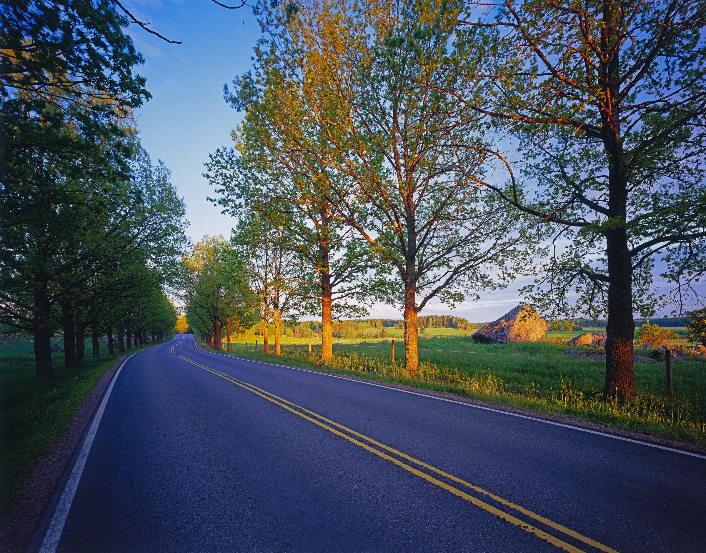 Road in Finland. 
