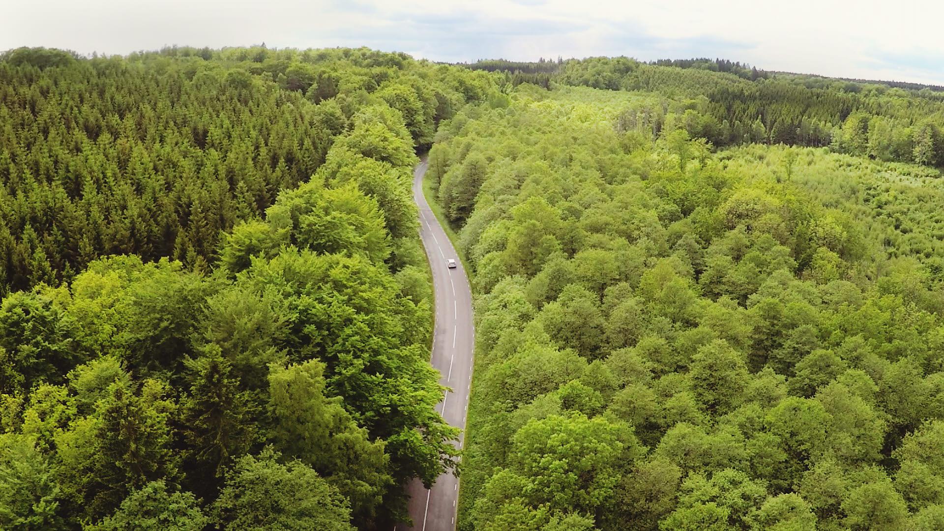 car country road