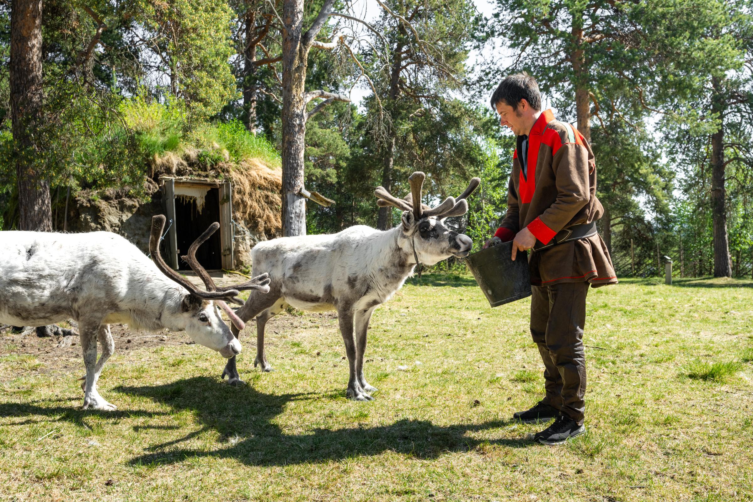 sapmi park at scandic karajok in karajok