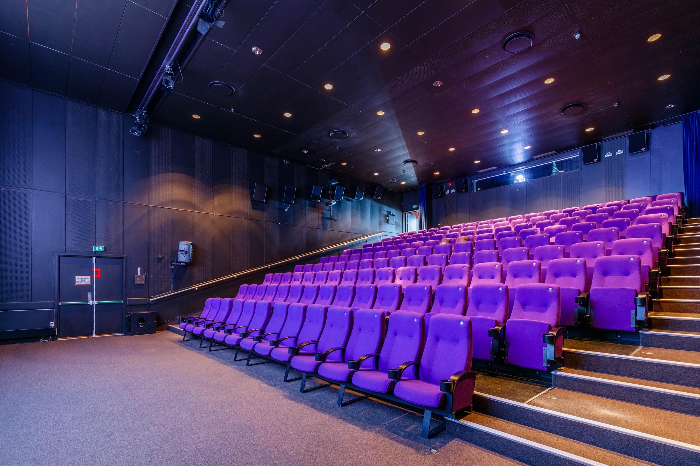 Scandic Park Sandefjord, kino 1.