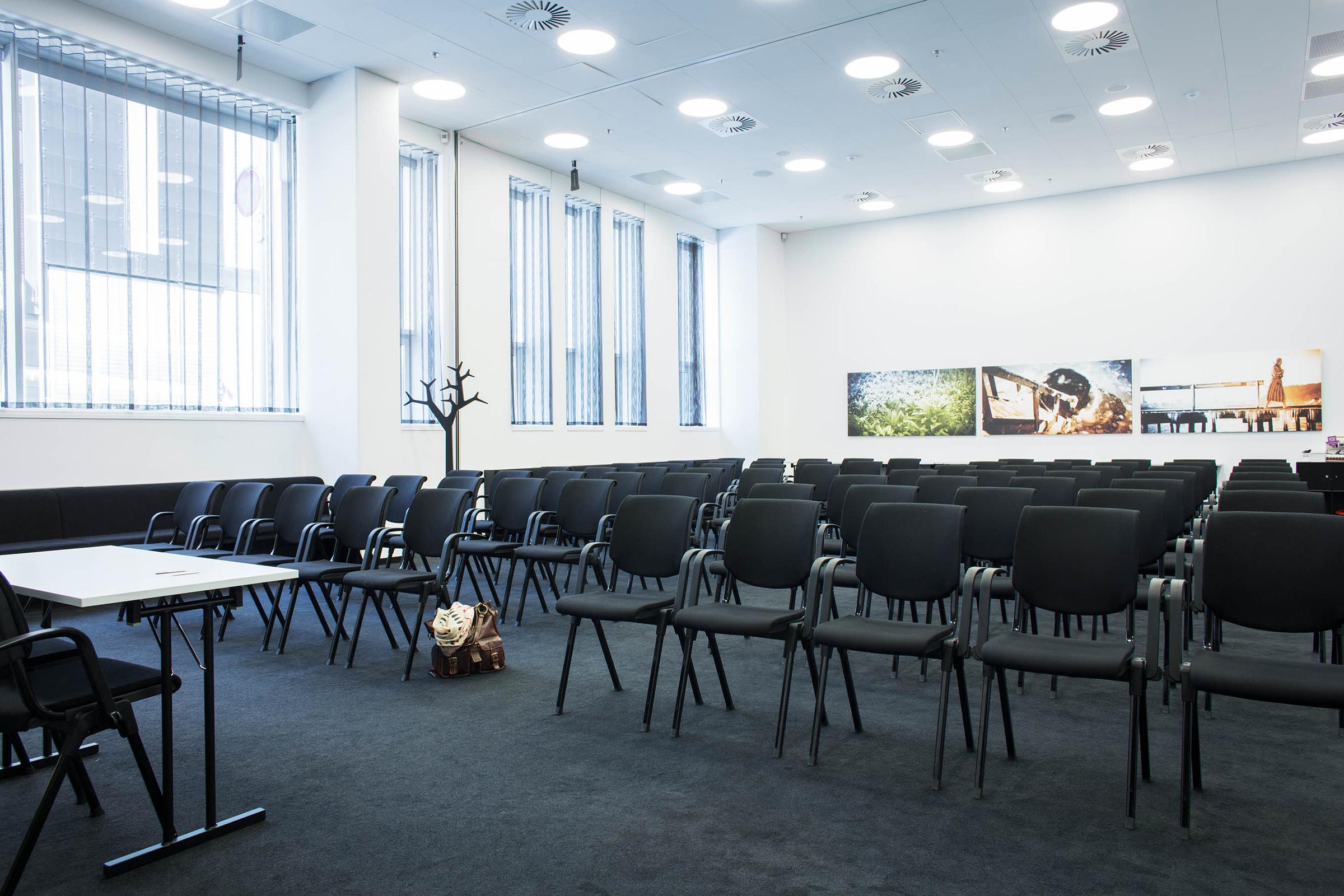 Scandic Aarhus City, conference, meeting, Riis Skov 1+2