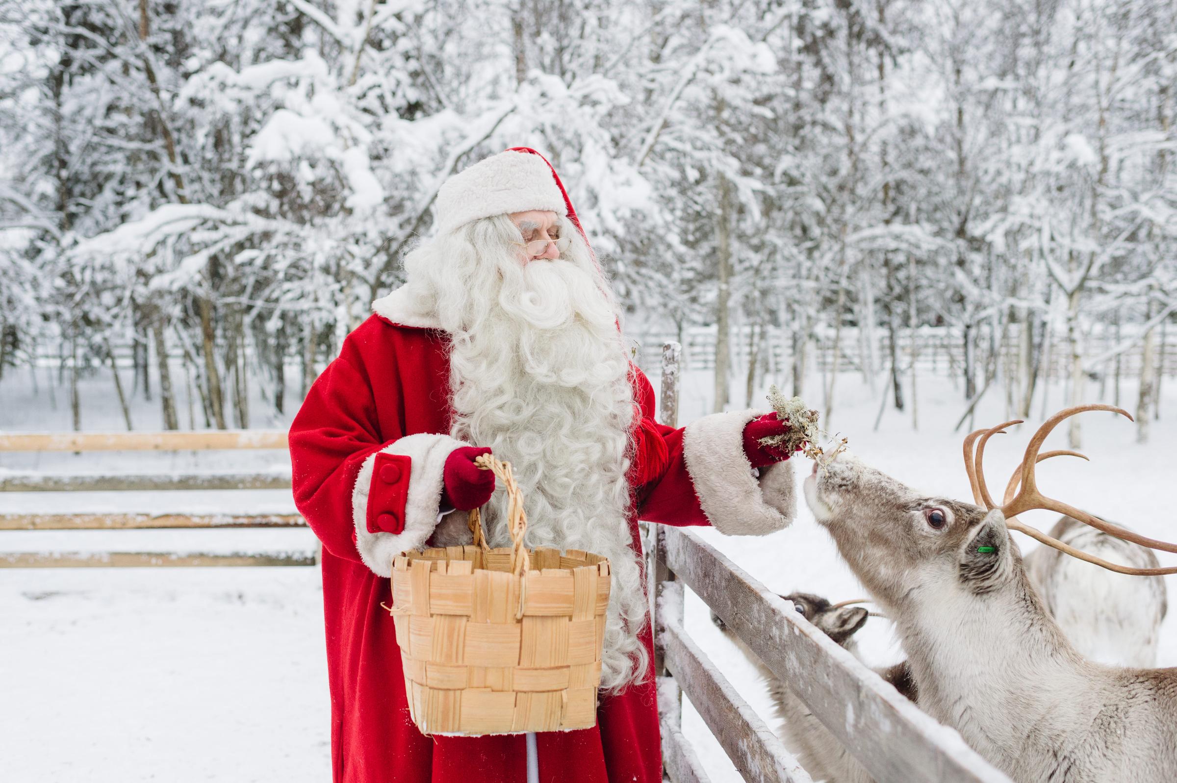 Santa claus feeding reindeers