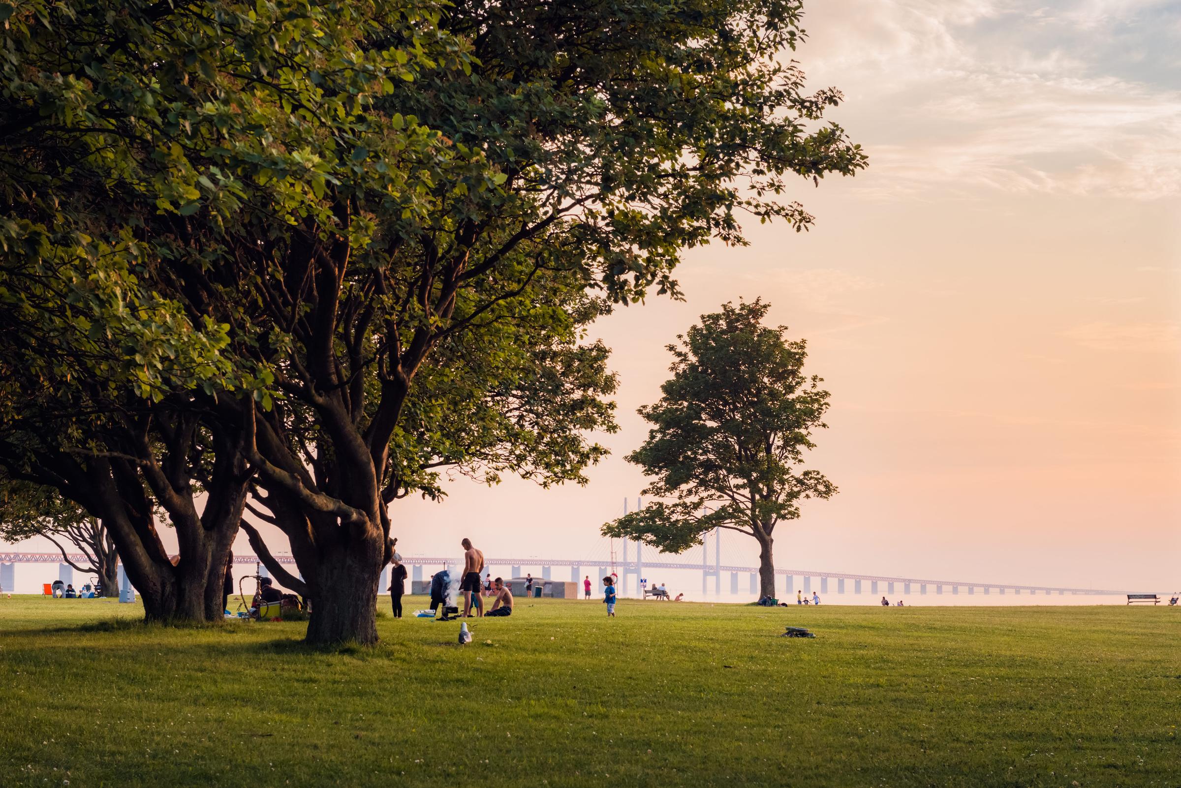 Sibbarpsstranden med Öresundsbron i bakgrunden