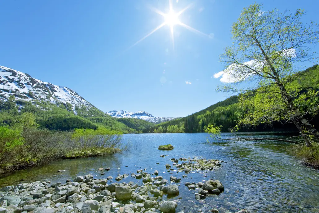 Espen Millis, Visithaugesund.no