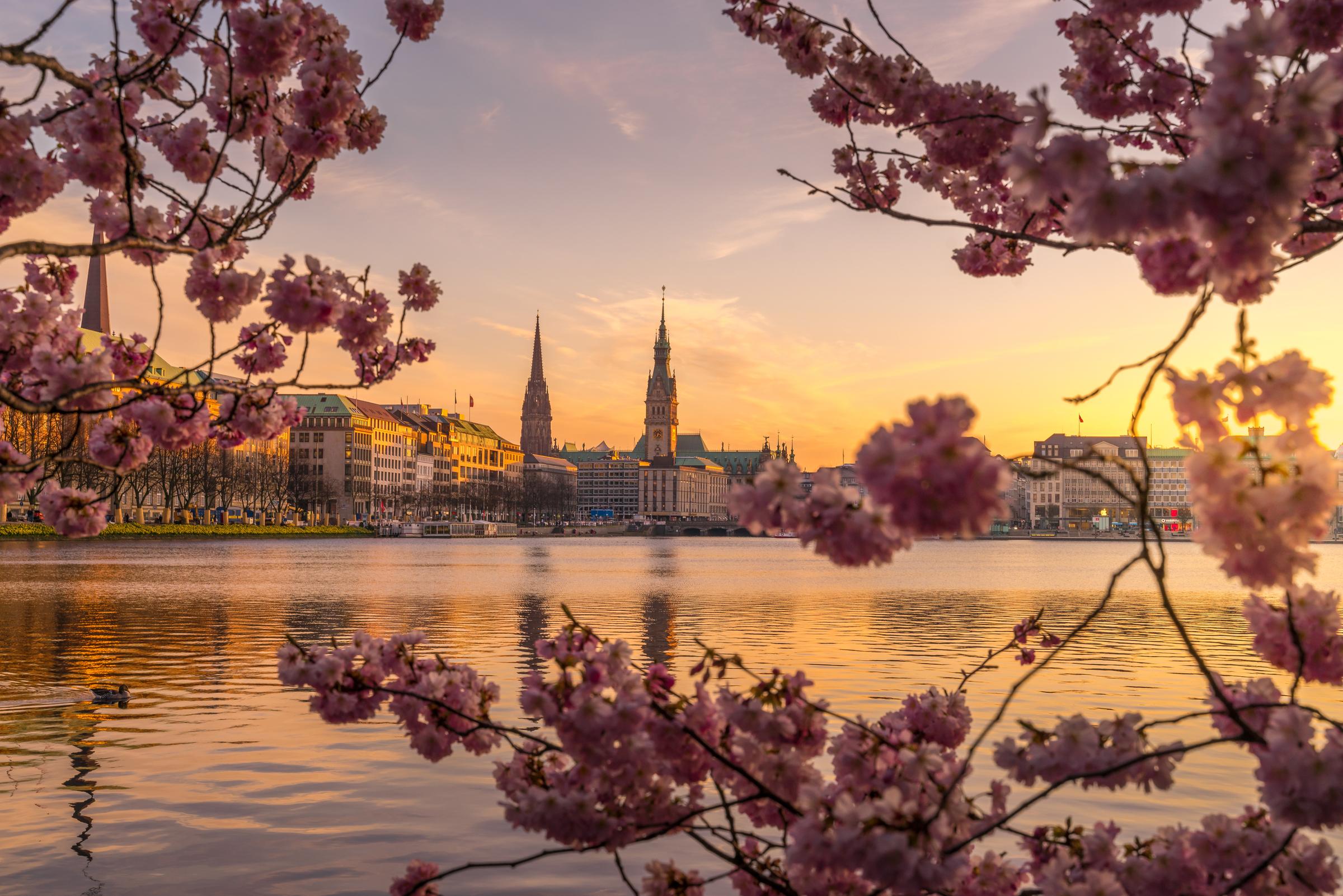 AdobeStock_362378080 Hamburg.jpeg