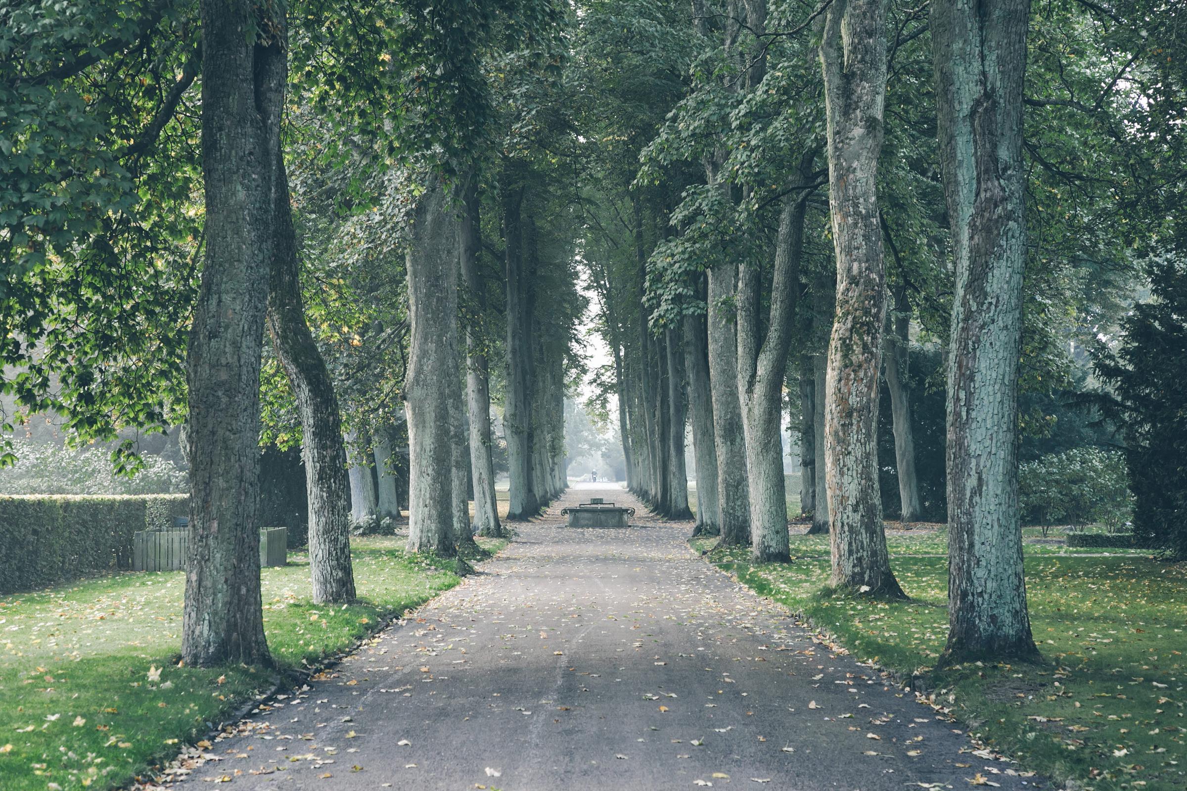 Photo: Visit Copenhagen