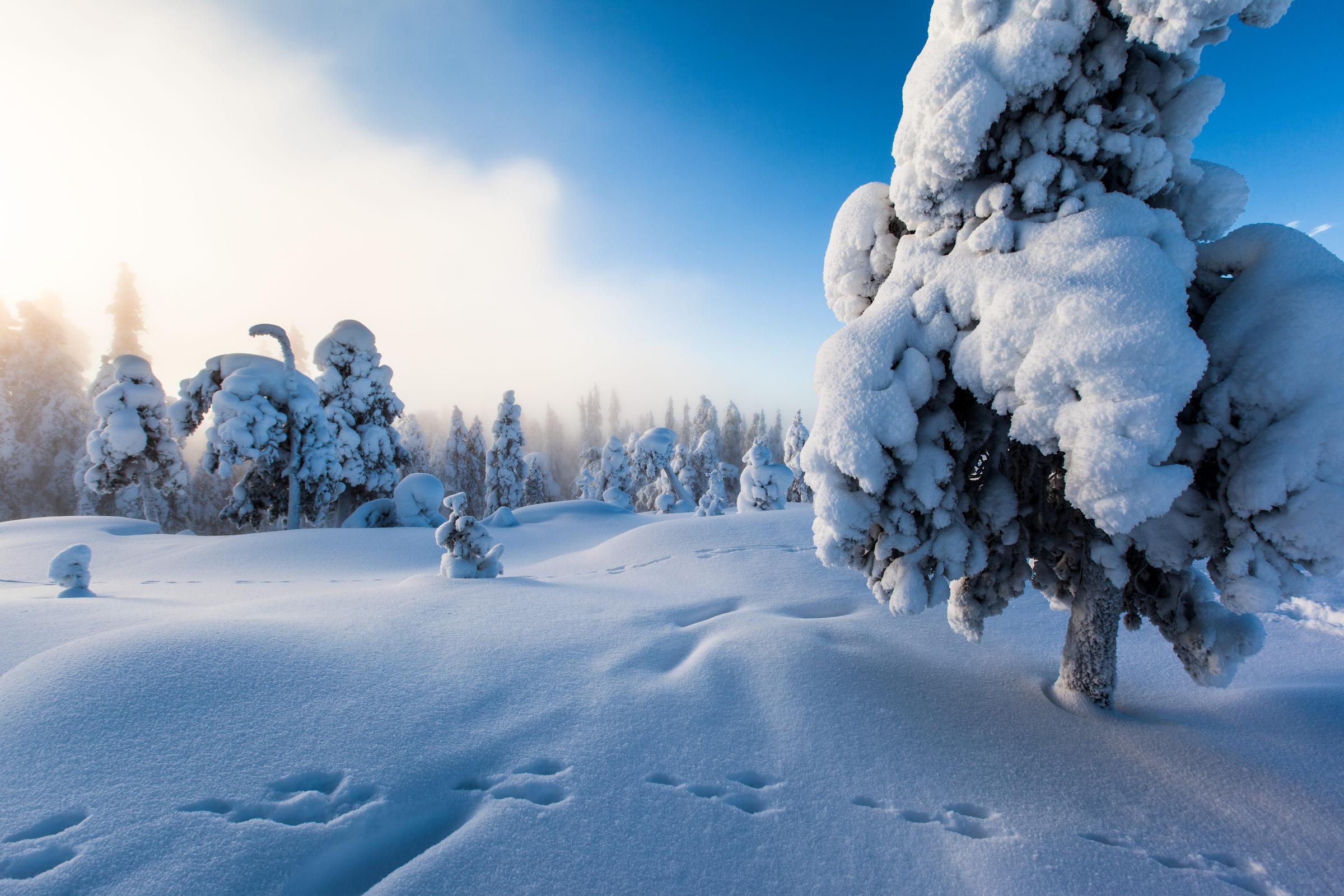 Ounasvaara_Rovaniemi