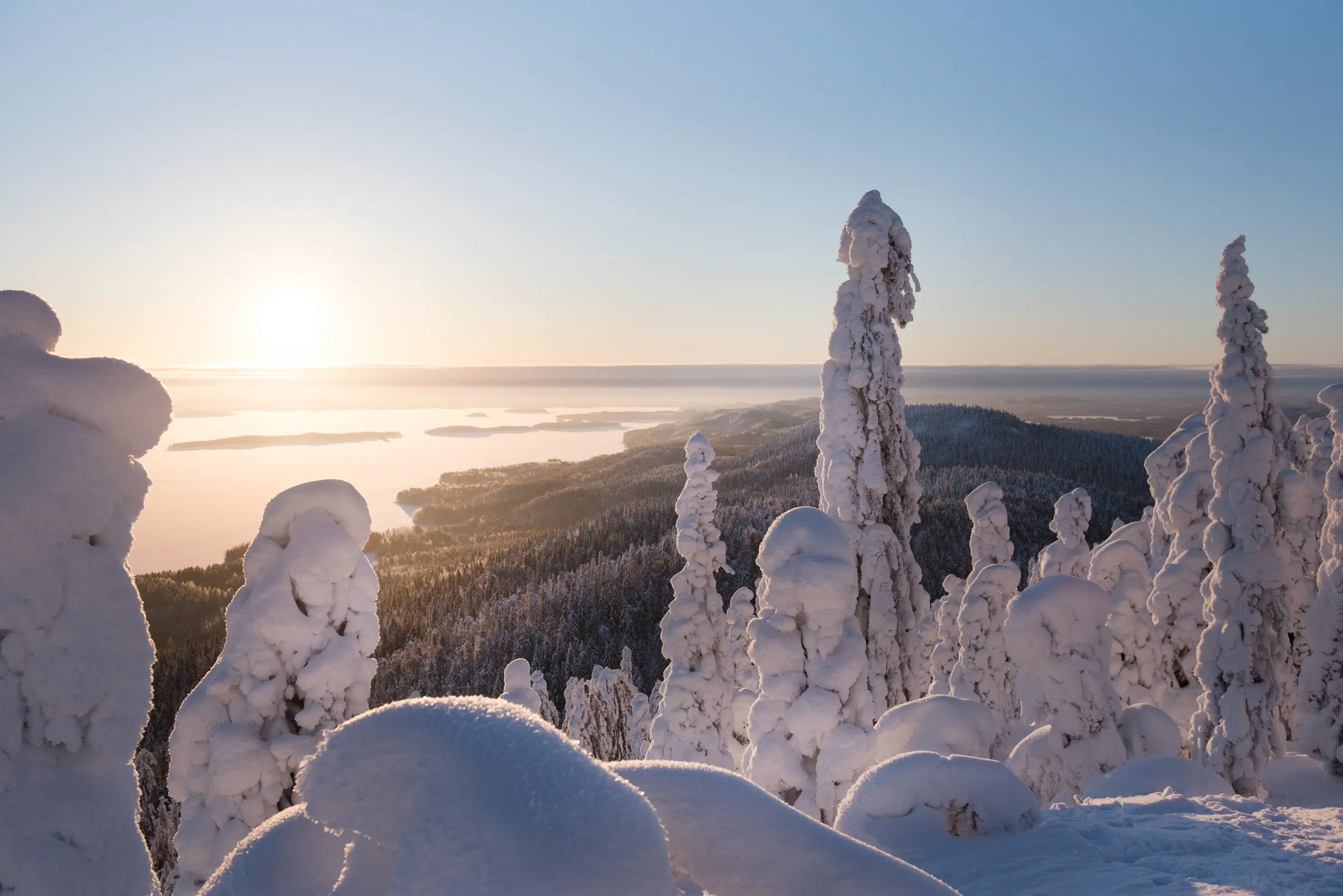 Landscape Koli Finland
