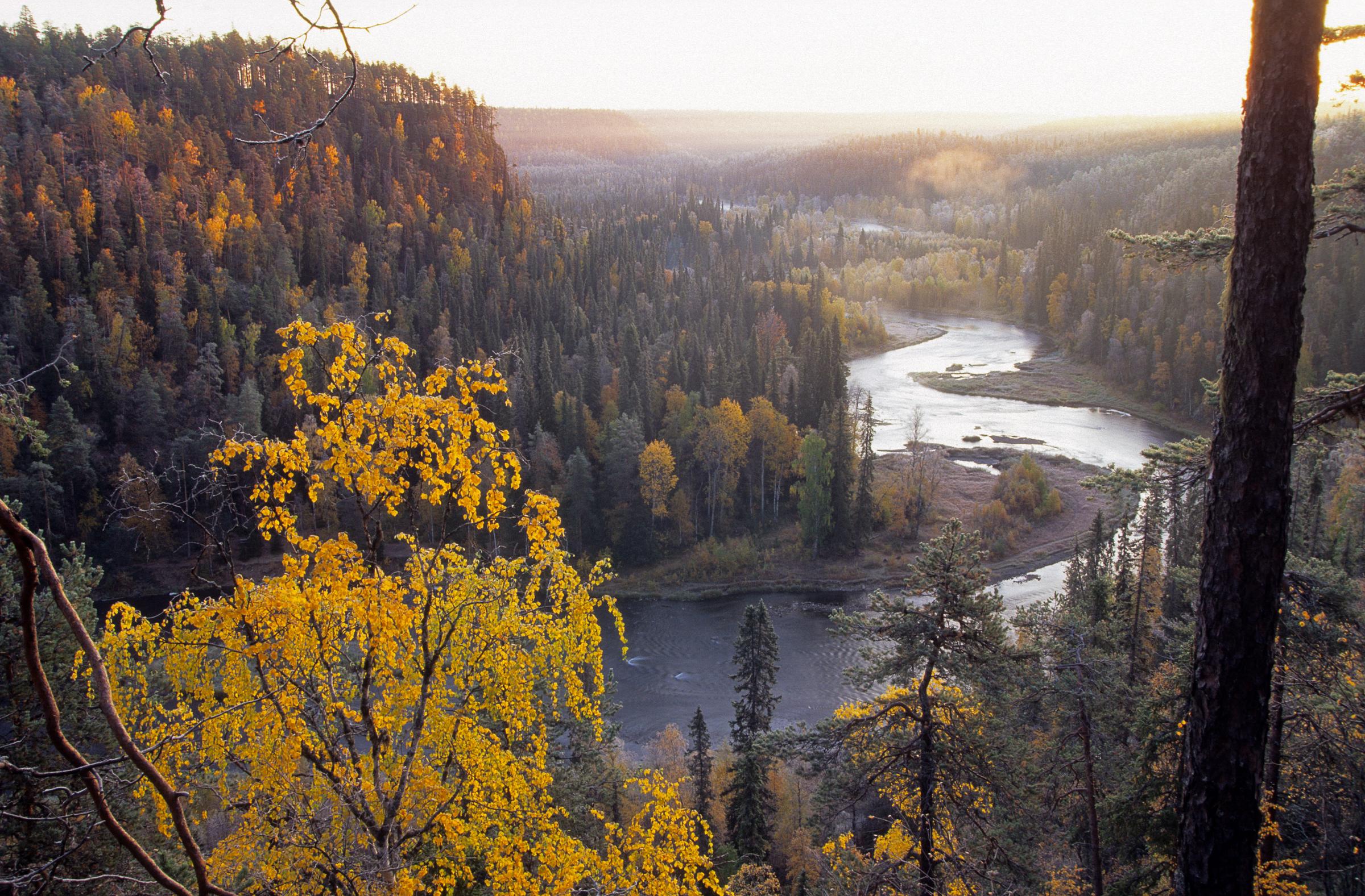 Kitka river in autumn, Ruka Finland