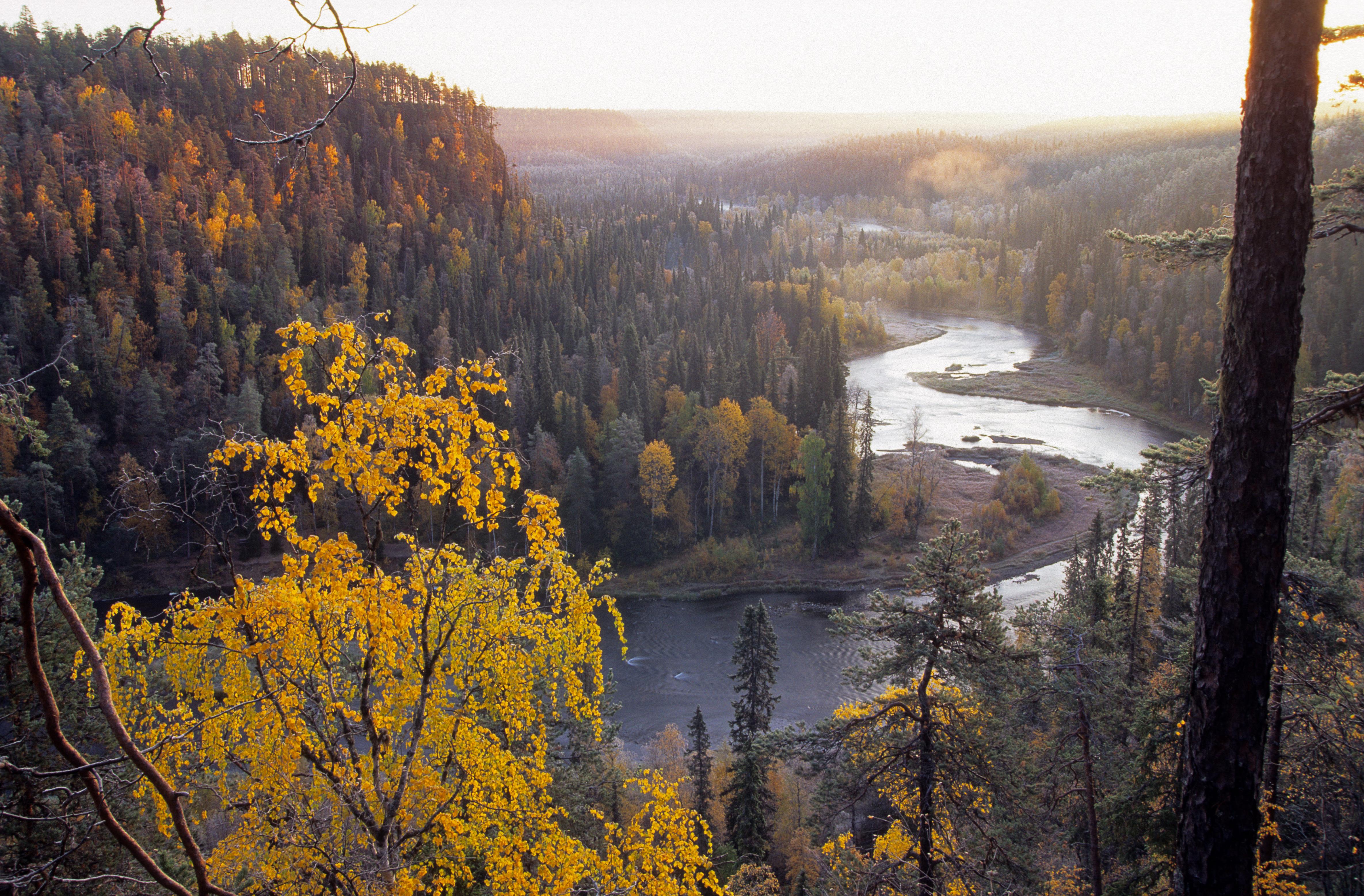 Kitka river in autumn, Ruka Finland