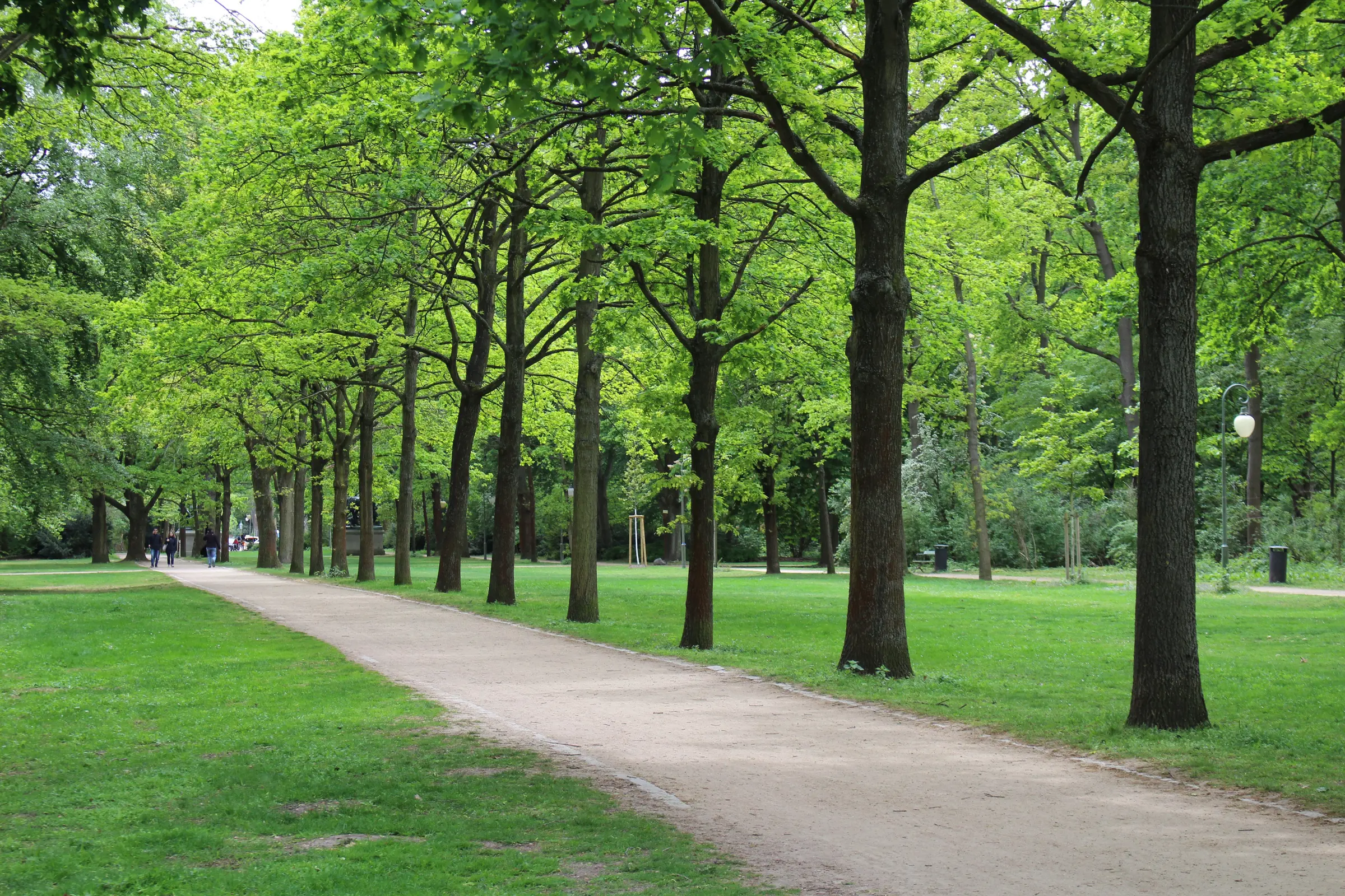 Park in Frankfurt
