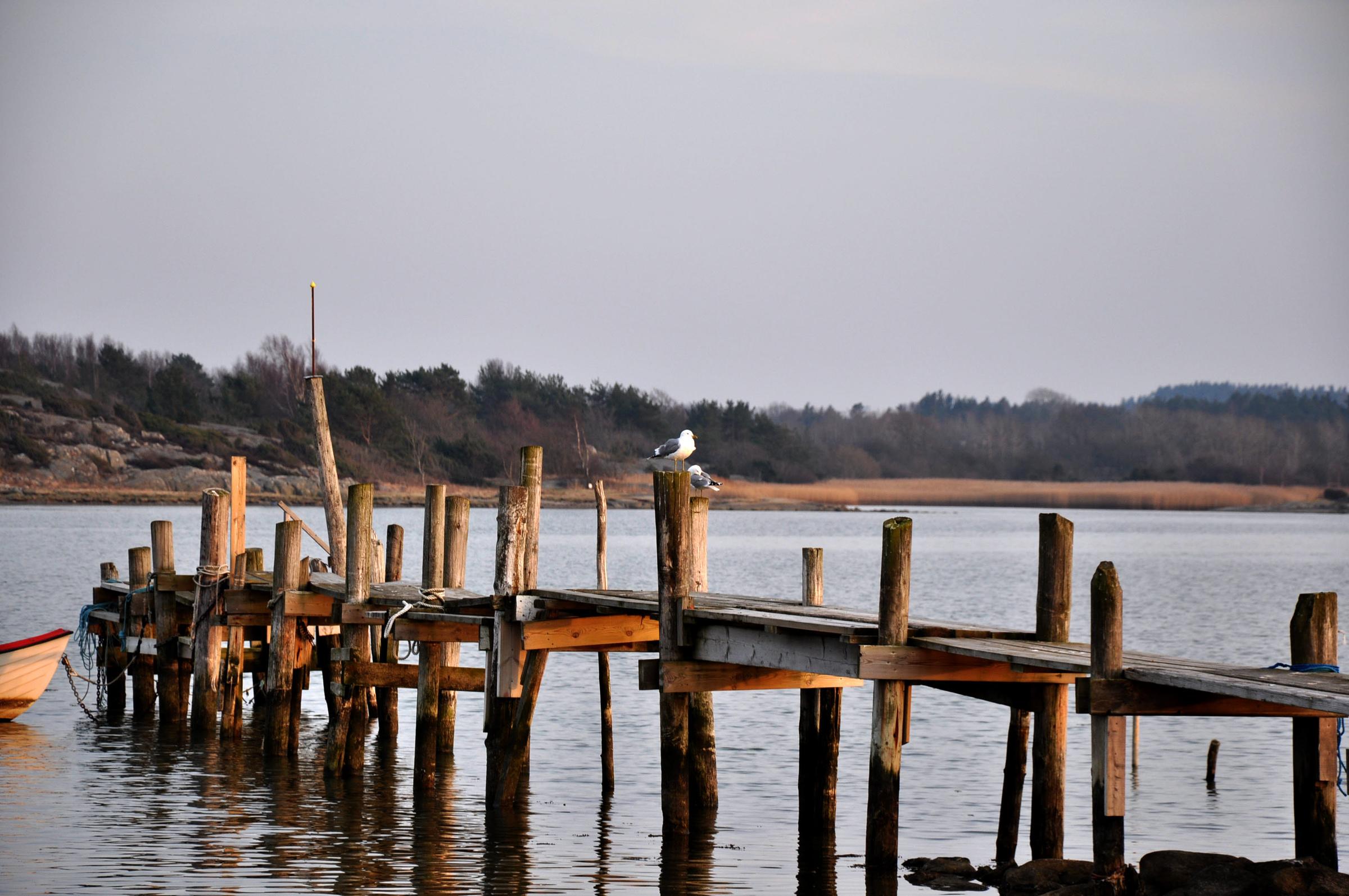 Bridge, wooden poles in the water and a sea gull. Torslanda in Gothenburg / Mostphotos.com