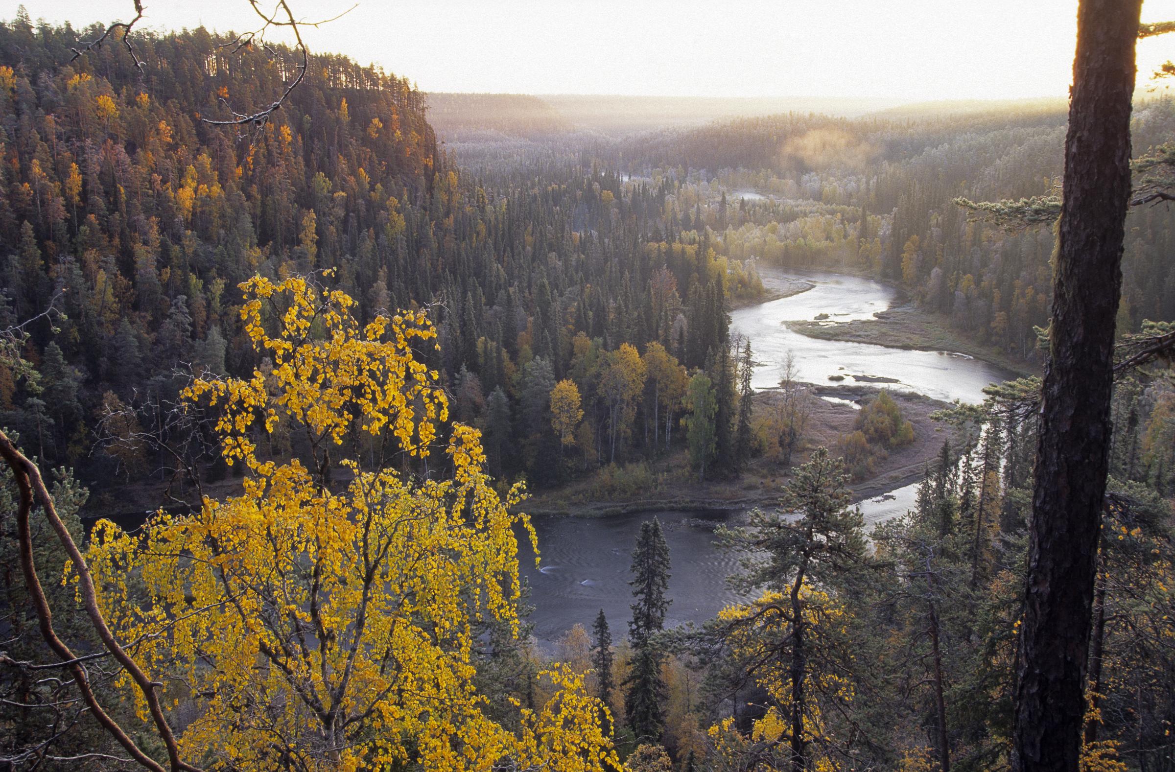 Kitka river in autumn, Ruka Finland