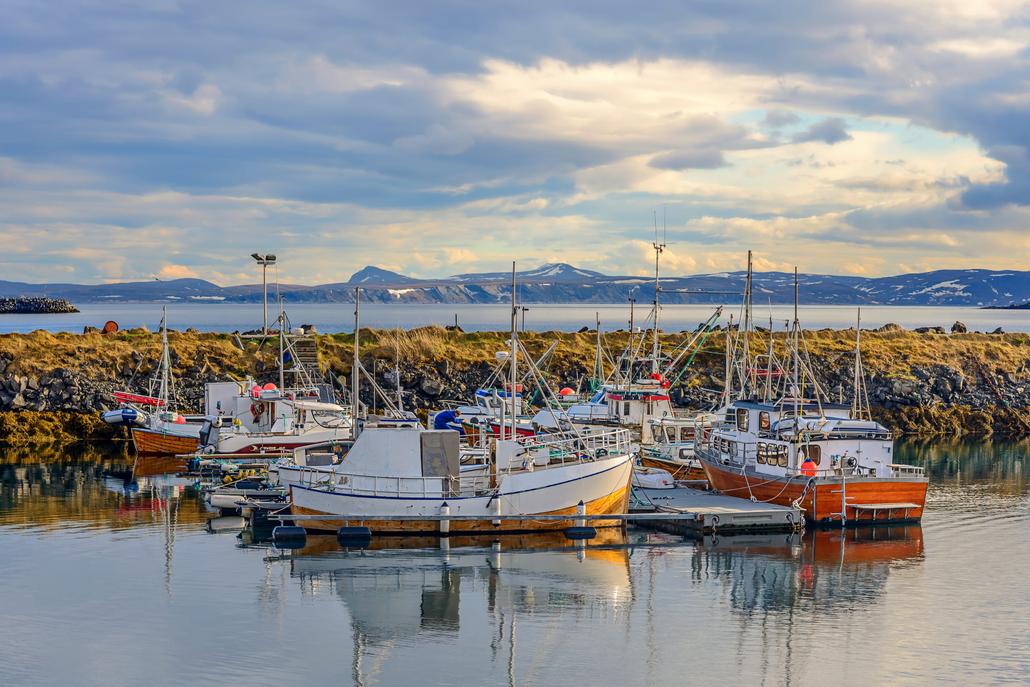 Fishing boats